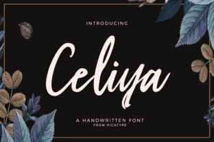Celiya Script: Testing This Light Modern Font for Web Layouts