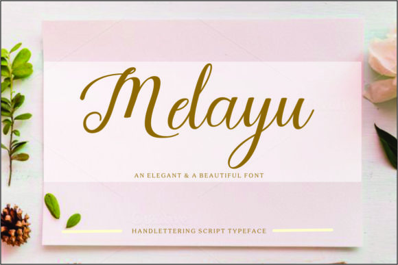 Melayu Script: A Web Designer’s Review of This Elegant Display Typeface