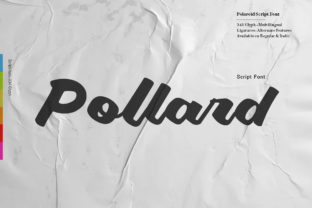 Pollard Script: A Bold Script Font That Works in Real Campaigns