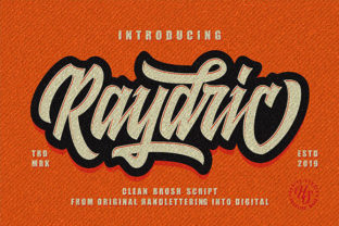 Raydric Script Shadow Outline: A Modern Display Font for Web Designers