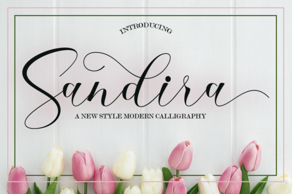 Sandira Script: A Playful Typeface for Modern Campaign Designs