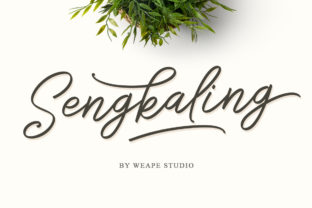 Sengkaling Script Review: Testing the Monoline Hand Sweep Font
