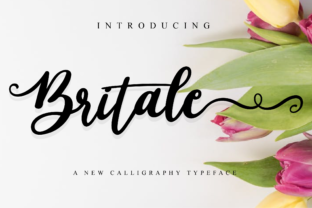 Testing Britale Script for a Real Website: A Web Designer’s Honest Take