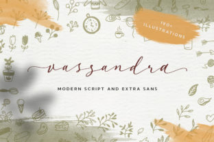 Vassandra Script: A Web Designer’s Honest Review of This Display Font
